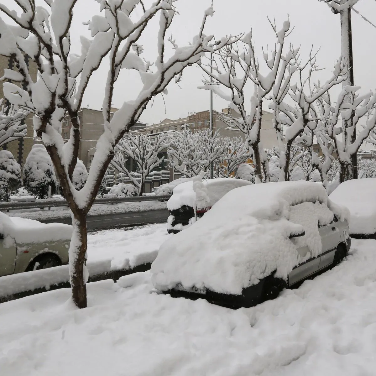 winter in iran